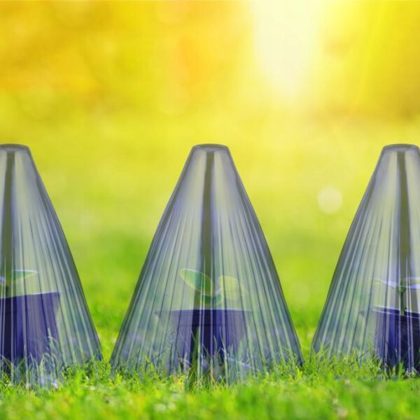 54e96ac1e4a6a6e355f0a80d818f1a19