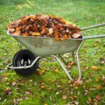 5cc292dc43a3653f9e3cb2f56b70e77c