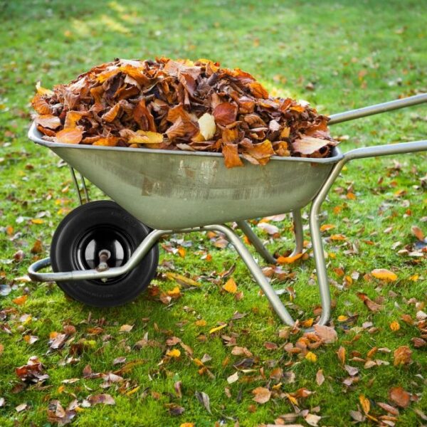 5cc292dc43a3653f9e3cb2f56b70e77c