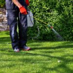 8248ee4d5f2eeed3fe8c934811c229e5