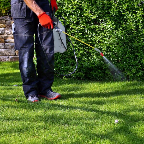 8248ee4d5f2eeed3fe8c934811c229e5