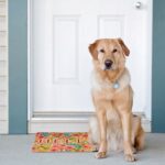 883fb5dc39d3ca7a3a1cd477601abb35