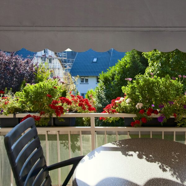 e6581ace19b5ddb5eee119cf85649d3f