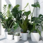 63f973457e69bff3dda466c082e829f5