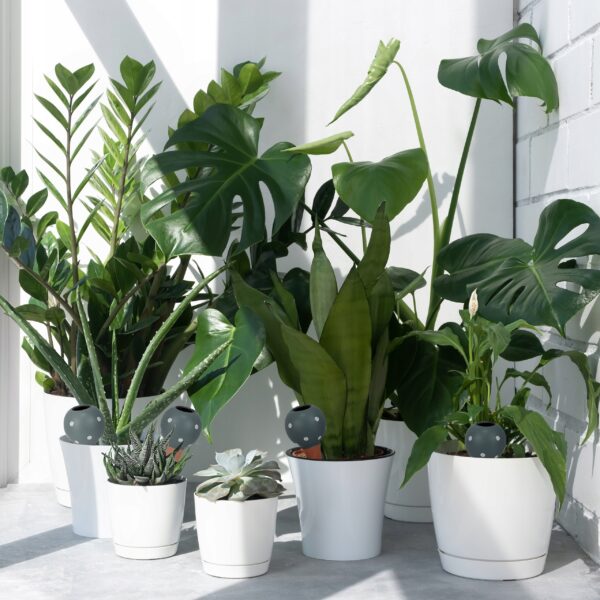 63f973457e69bff3dda466c082e829f5