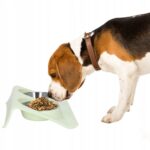 01206d9385d9e14a5a8ab812d59ae916