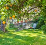 482d74ac87a5b935503f807ce7ae3b42