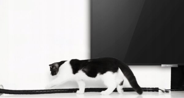 8499b8a33dfa56e1a34f3c13e77dee92