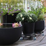 0d439c868c663a37302af002af53d7e9