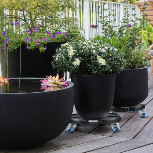 0d439c868c663a37302af002af53d7e9