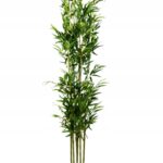 e823a464ed131e80ae11f519e6bcdd5c