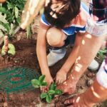 f85eac1cf7a93eb3cab287c5cdca0775