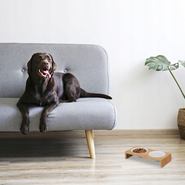 e2658657d6abb136f9d652aaa6d7deb8