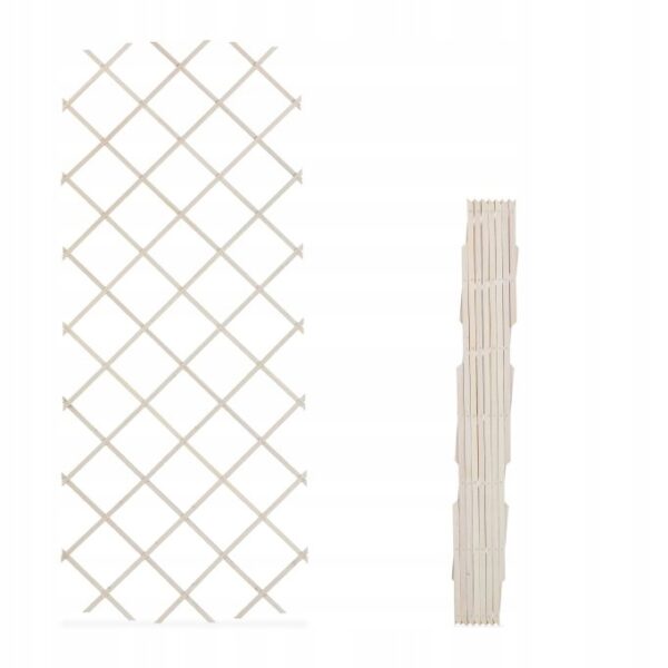 0e1119fda08a5c1da1f7d6b3f6a46071