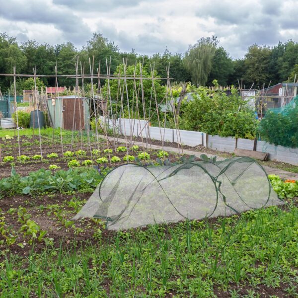 739077807ffcb232e04b668b372b8e51