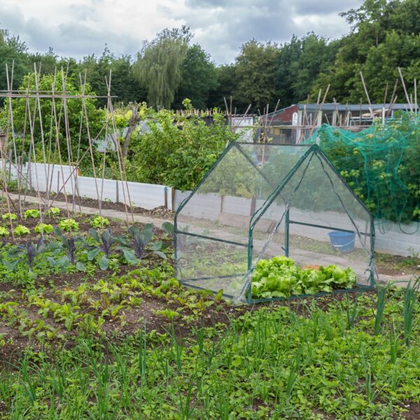 025c11325a21e468a7e0906988d4993d