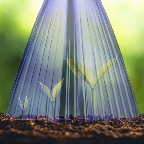 a3dd8aad89572dedb035ad553c239bda