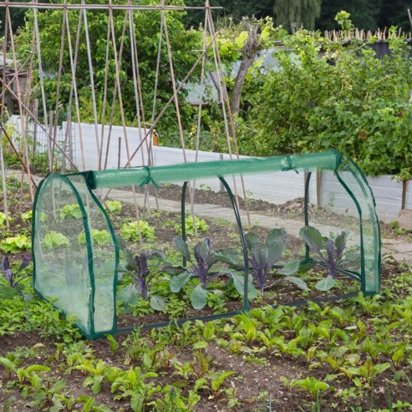 a757fdb075f5310f9fb708ddb0eb4204