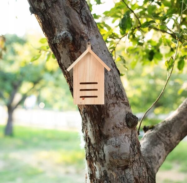 23ab60b2889ece2f2f2663d37ff0f752