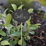 e7d247b4b5061039c790224bb69a9ccb