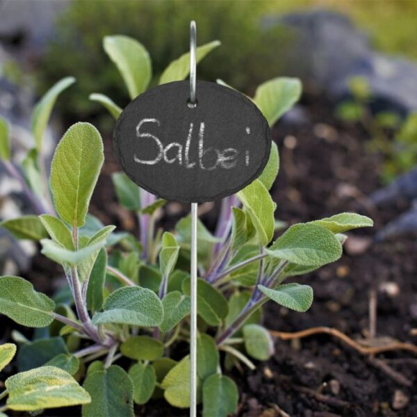 e7d247b4b5061039c790224bb69a9ccb