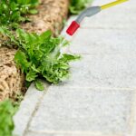 c463da7385ca77a4dddb40993c1f16c6