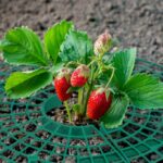 d1fceb62d6589617cd66018deb72aaaf