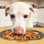 c380b80d8325531977fee09895993fdb