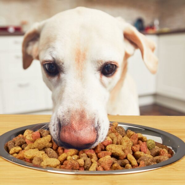 c380b80d8325531977fee09895993fdb