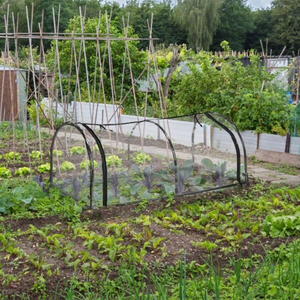 4aa0b460db3f19b811ee5dc51c70362b