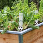 04bec11c4d84448e5d0604b5be984e07