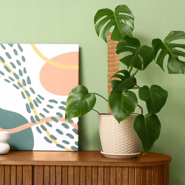 1492d73ba4d03bb659c6cabc9db9d842