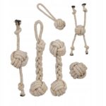 a9c8f02083a8d561613bbecfe2749f51