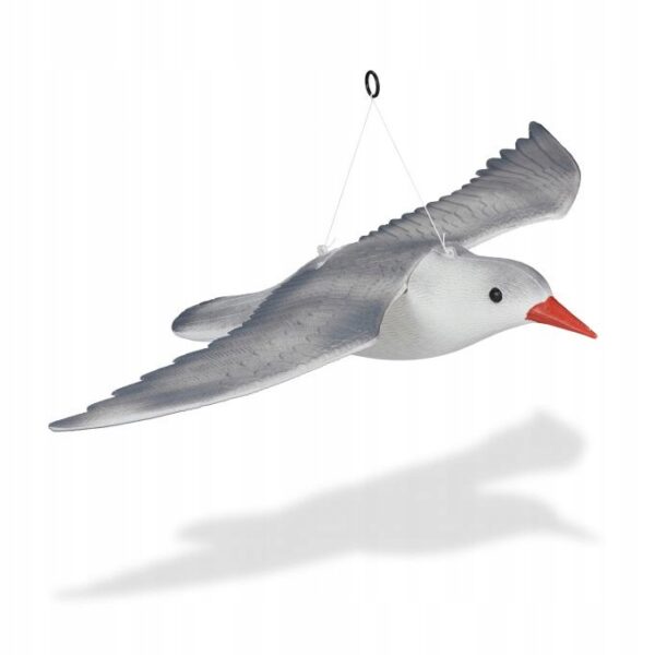 03bbe100553dca84ad7b39f3aee6a69d