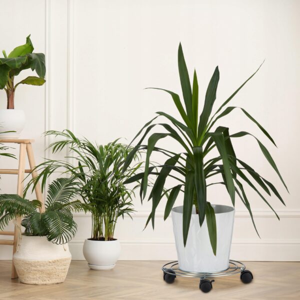 834cc733df855193b62e21468a846bd3