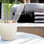 4ccf43a77ac042ea280605b145f4ca56