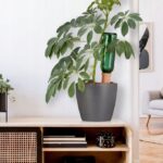 eb588cc2c3370e98d624eb8e359030a7