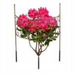 52c63497dc5ed07a9045eeda1d068dd8