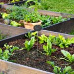 46edad477a495ead7b4a9d9cbd3f0ddb