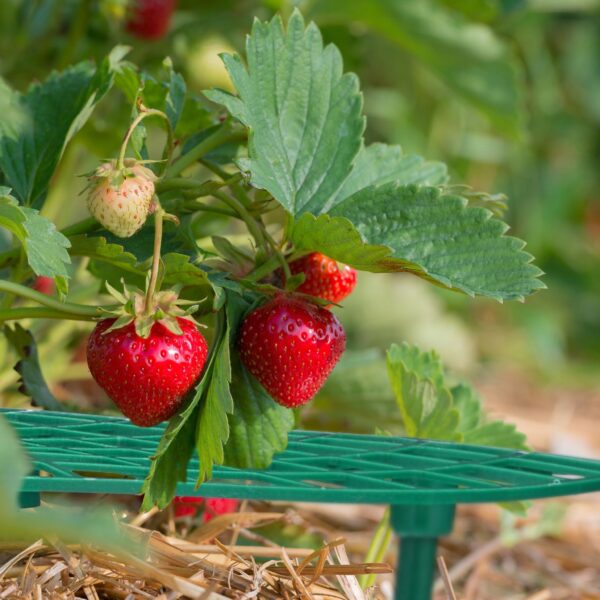 a4066f9ab260cc8758e7b0d895a038a1