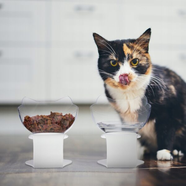 8a48ecb069db187c88df13405f4b47f9