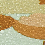 e0a5d14506252d14c64365d27202ecb7