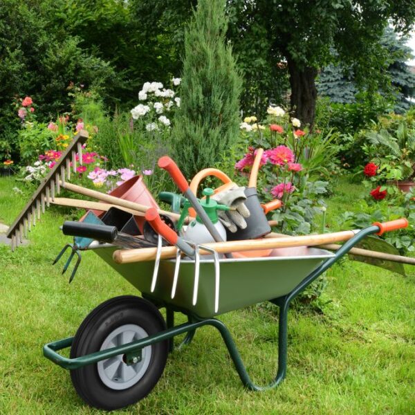 1837f4ab990853642b31e1b67d4c7762