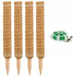 472a178079b4e96f5cfe44a6e946ee22